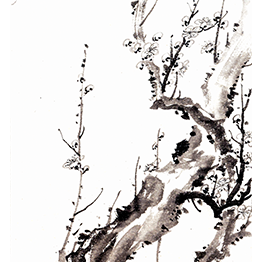 Ink Plum Blossom – Pu Ru