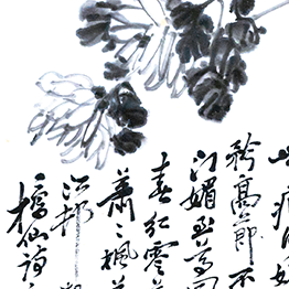 Song of Chrysanthemum – Zhu Lesan