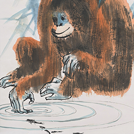Orangutan and the Fish
