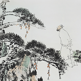 Observing the Pine