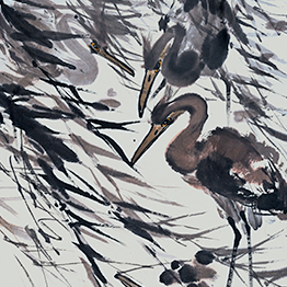 Cranes